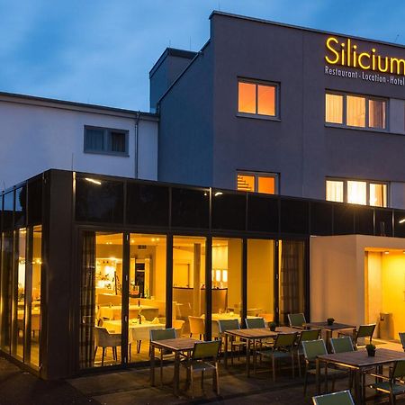 Hotel Silicium Höhr-Grenzhausen Esterno foto